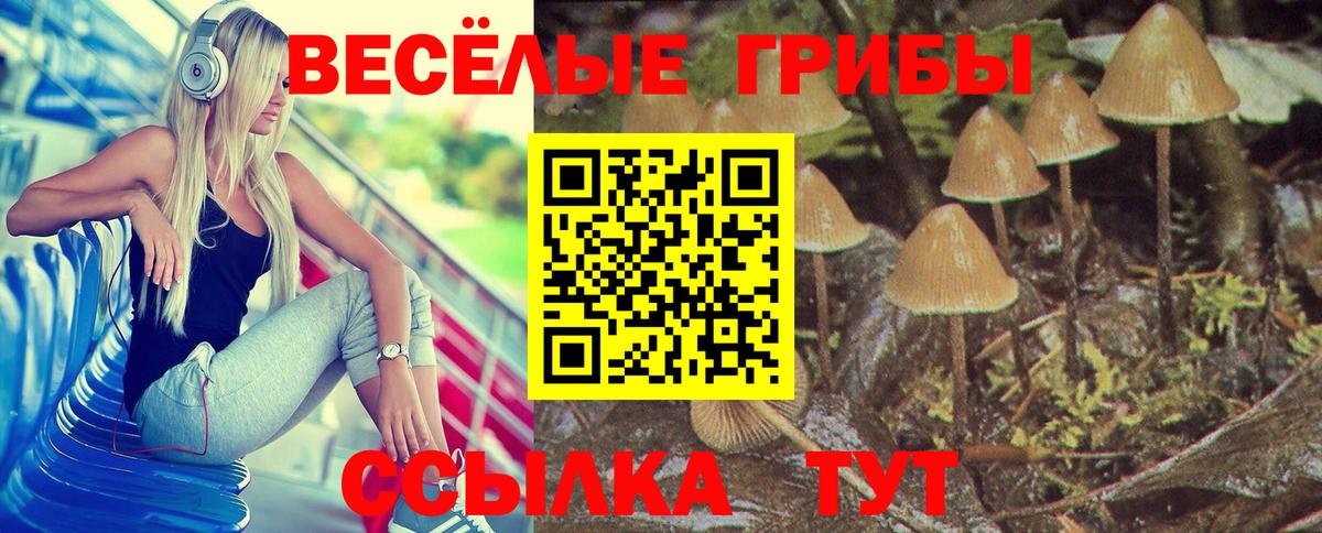 Псилоцибиновые грибы GOLDEN TEACHER Красноармейск