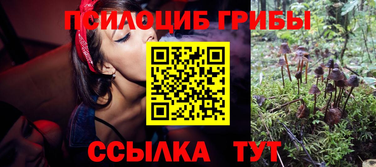 Красноармейск  Псилоцибиновые грибы Psilocybine cubensis  цены наркотик  Вход с VPN  Псилоцибиновые грибы MAGIC MUSHROOMS 