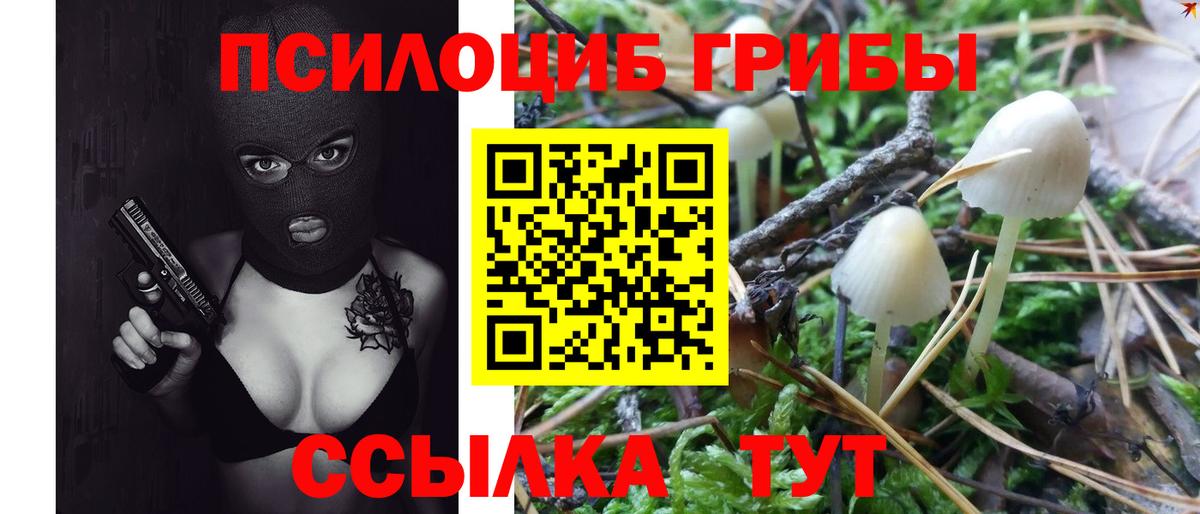 ГАШ Красноармейск